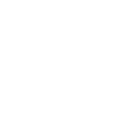 spinning logo